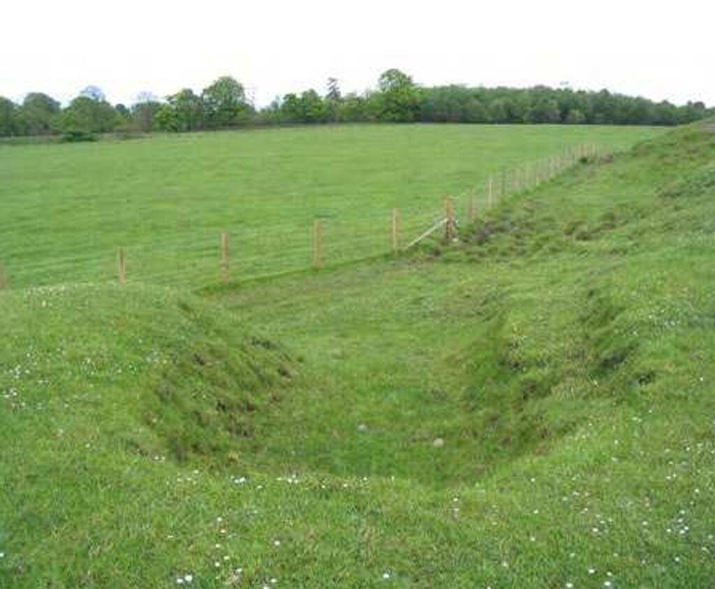 Braehead Village Survey