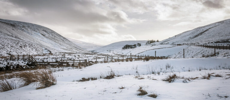 Lowther Hills