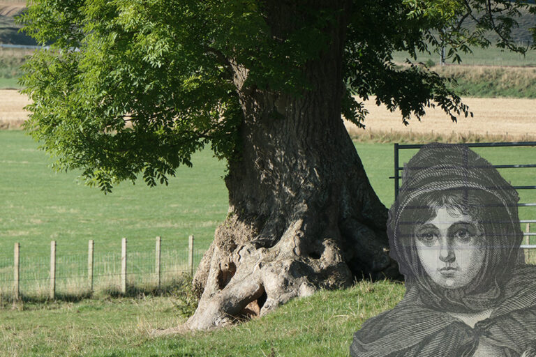 ash tree and ghost