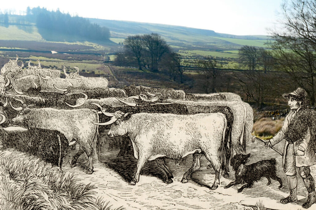 Drove Roads in Carnwath Parish – the lost road to London