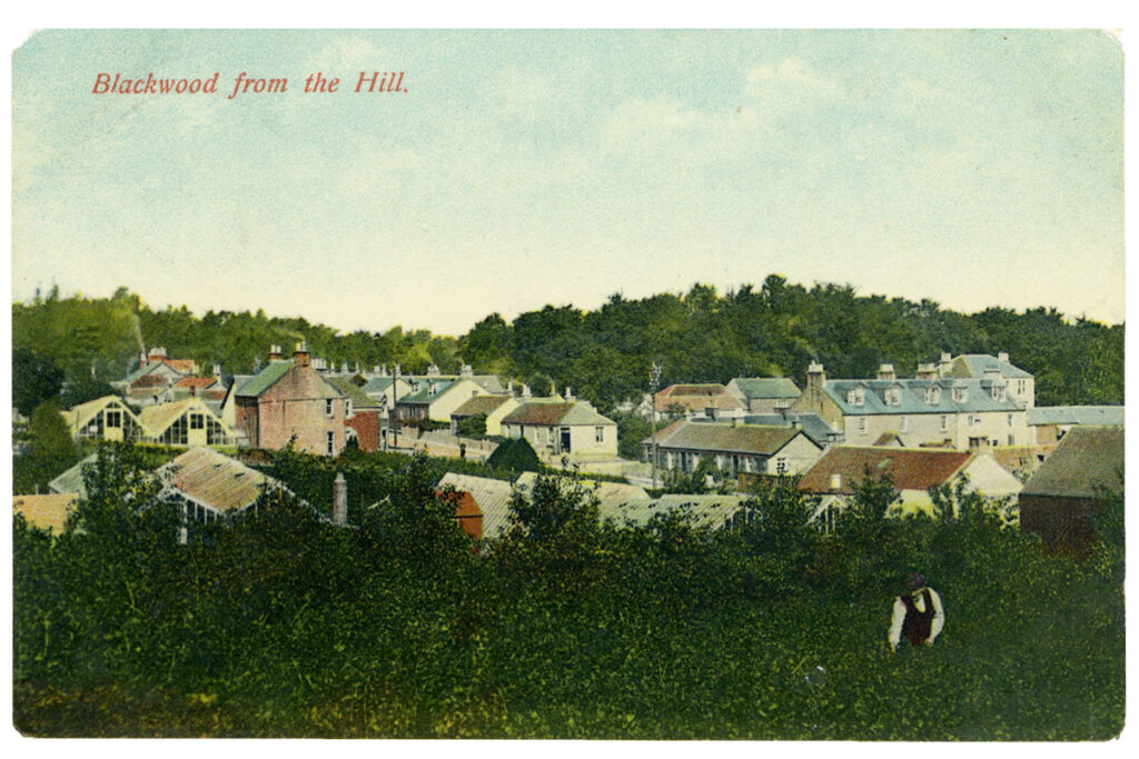 Blackwood from the Hill