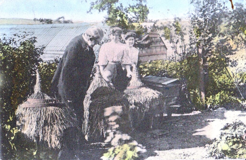 Honey from Thatched Skeps