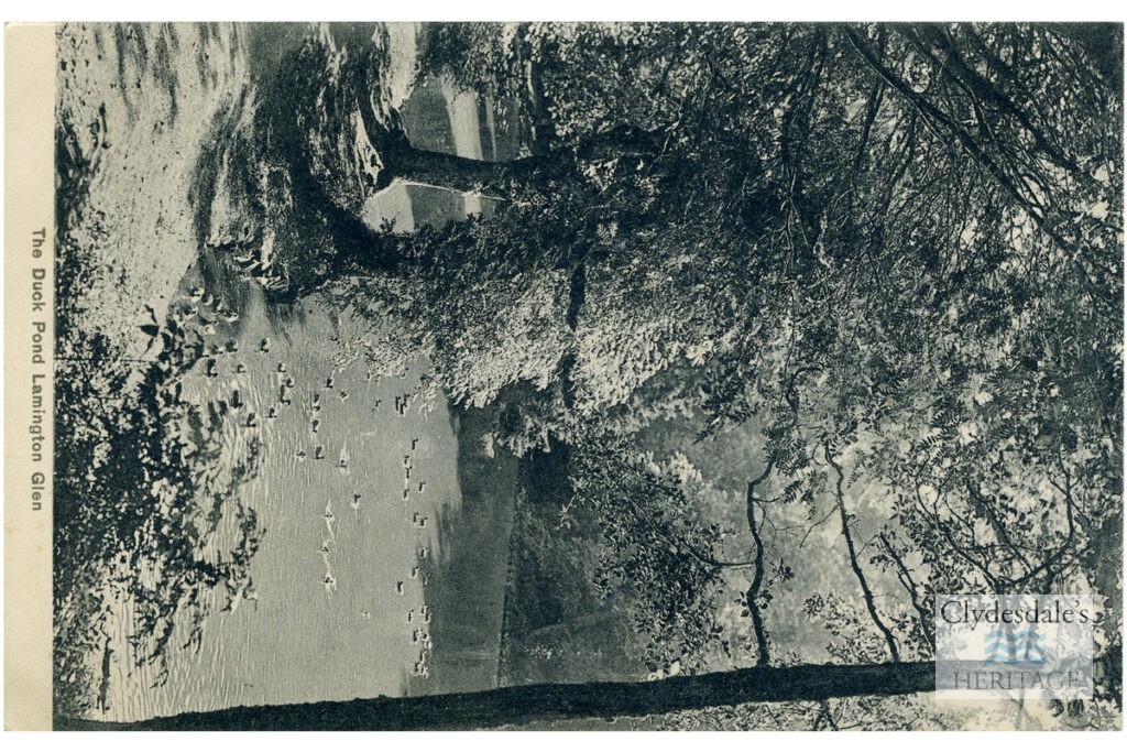 The Duck Pond, Lamington House