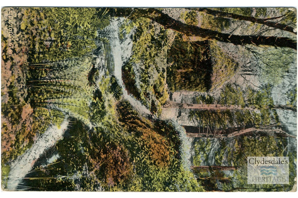 The Glen, Lamington